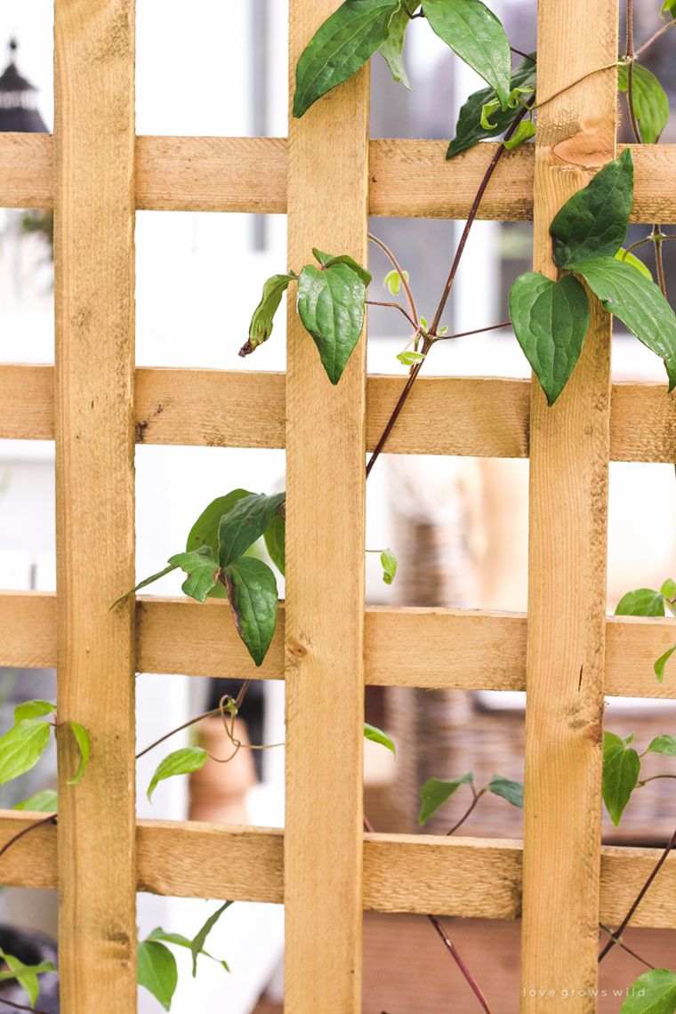 produzione-di-giardino-in-legno